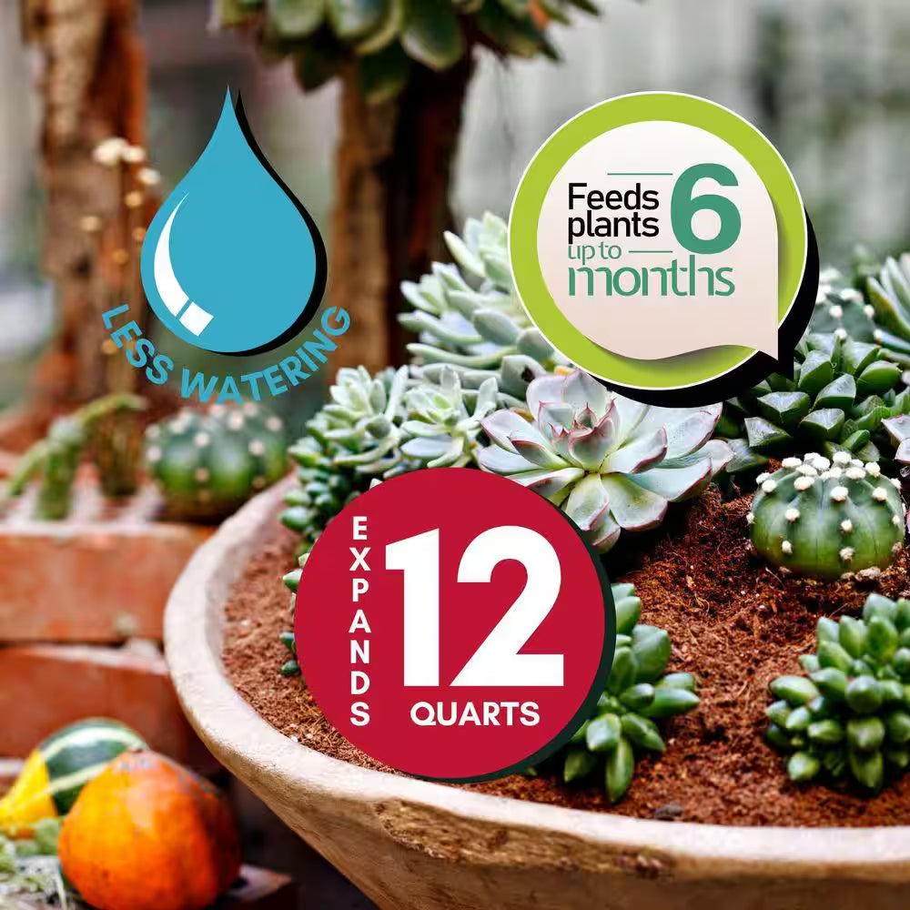 12 Qt. Premium Cactus and Succulent Expanding Potting Soil Mix
