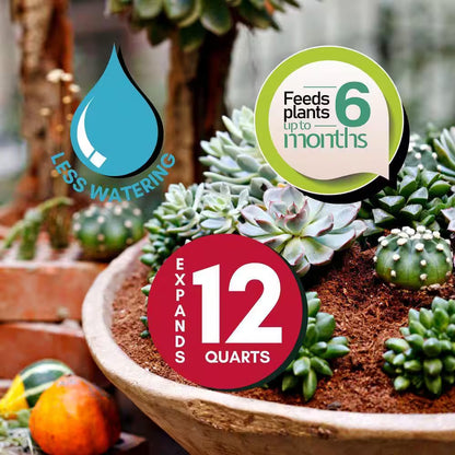 12 Qt. Premium Cactus and Succulent Expanding Potting Soil Mix