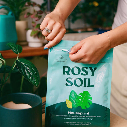 Houseplant Soil – 4 Quart 3-Pack