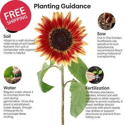 Sunflower Seeds for Planting, 15+ Varieties, 1 Oz, 300+ Mixed Seeds to Plant Col