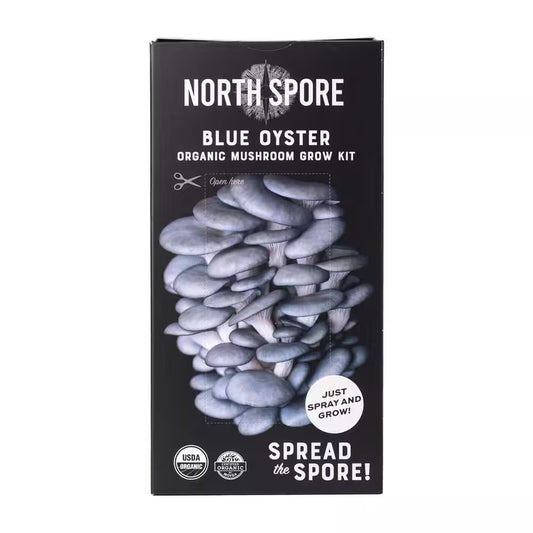Organic Blue Oyster Mushroom Spray & Grow Kit