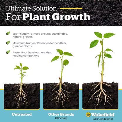 Biochar (100% Pure Biochar), Soil Amendment-4 Qt. Bag