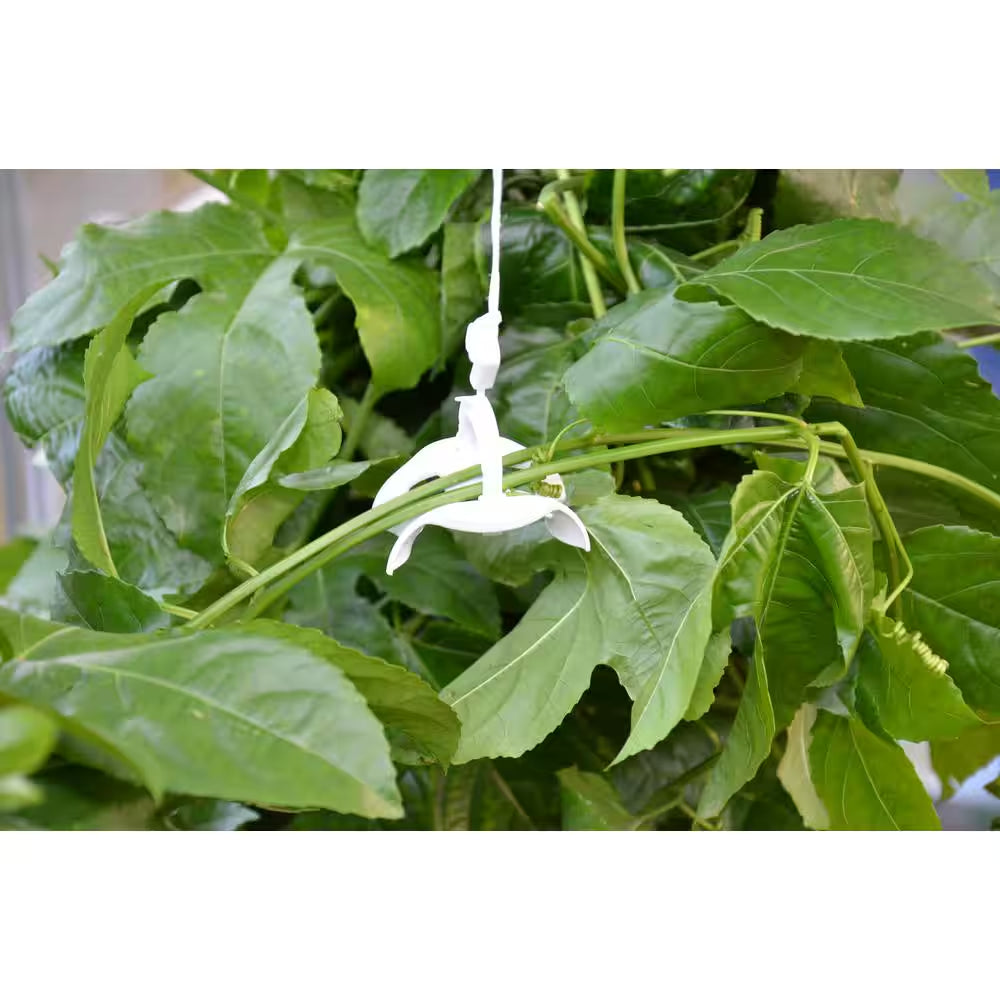 Greenhouse Trellising Kit Pro