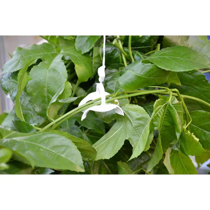 Greenhouse Trellising Kit Pro