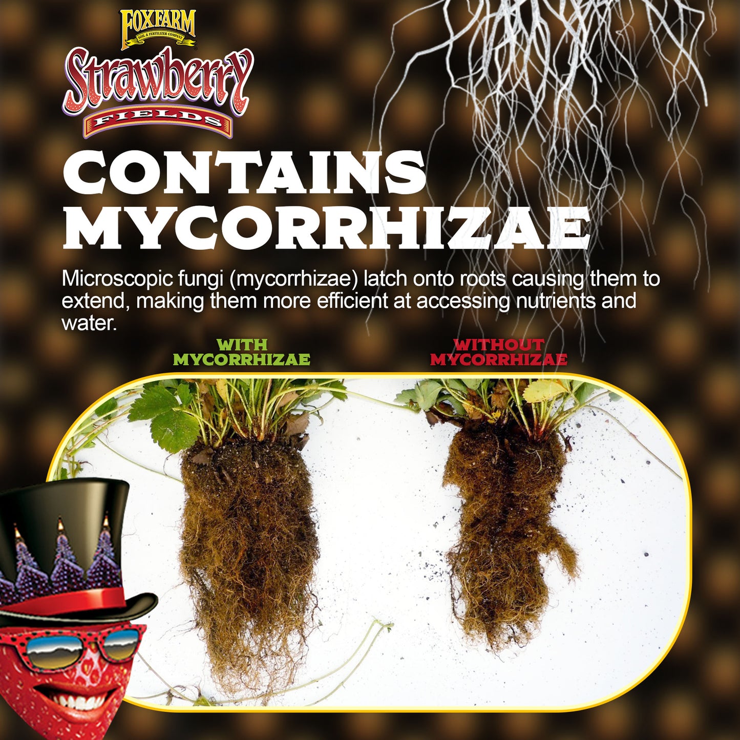 Foxfarm Strawberry Fields Fruiting & Flowering Potting Soil, 1.5Cu Ft (2 Pack)