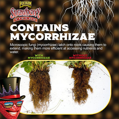 Foxfarm Strawberry Fields Fruiting & Flowering Potting Soil, 1.5Cu Ft (2 Pack)