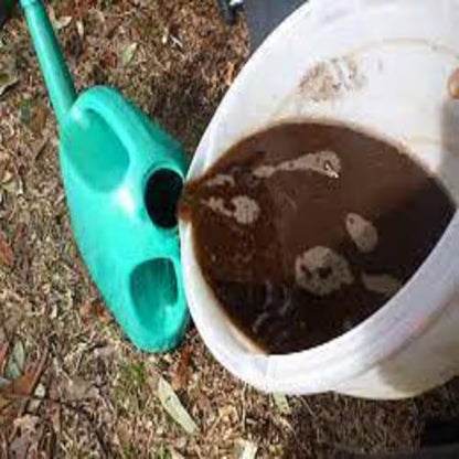 8 Oz. Worm Casting Concentrate