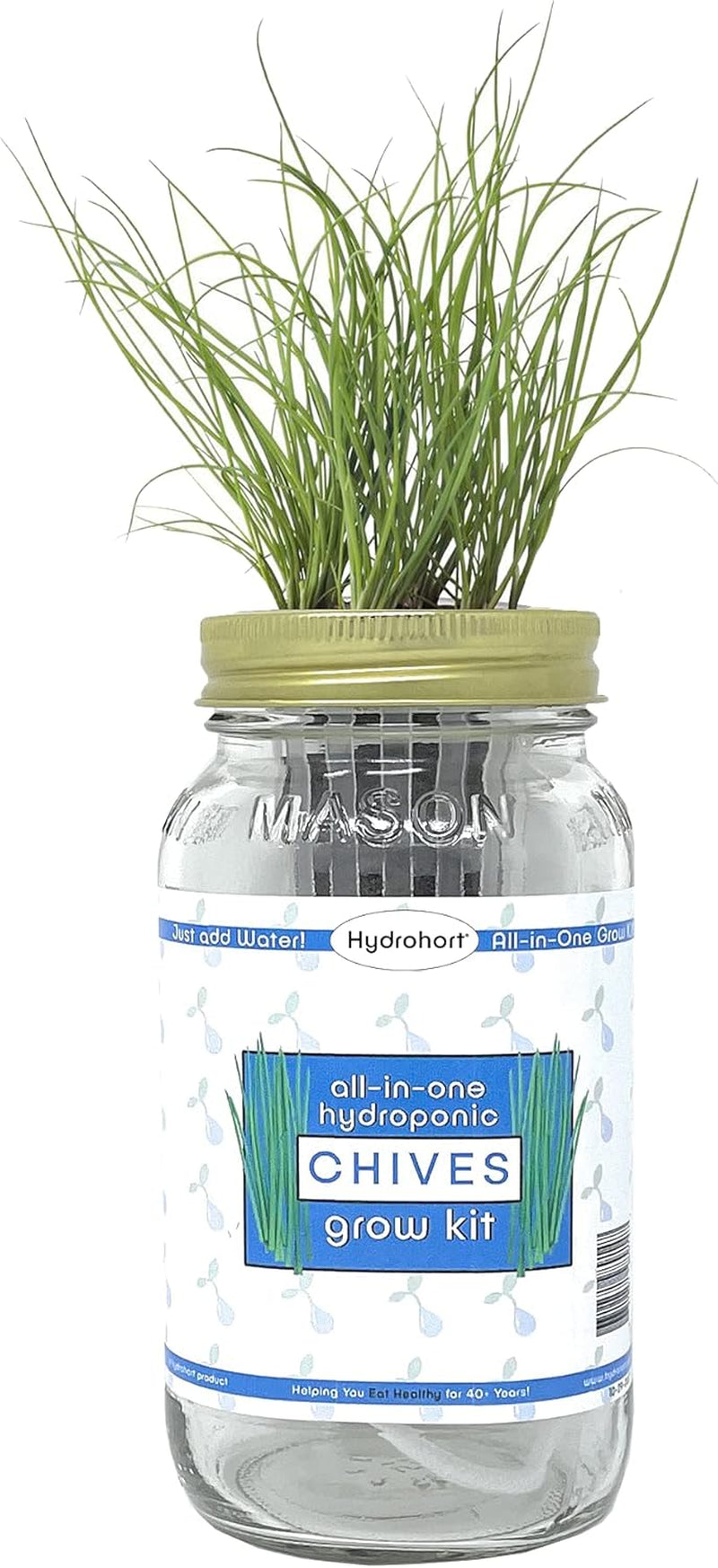 Chives Herb Growing Kit by  | Growing Chives Seeds Is Easy with Our Mason Jar Herb Garden Starter Kit | Chives Seeds for Planting Are Perfect in Our Herb Kit