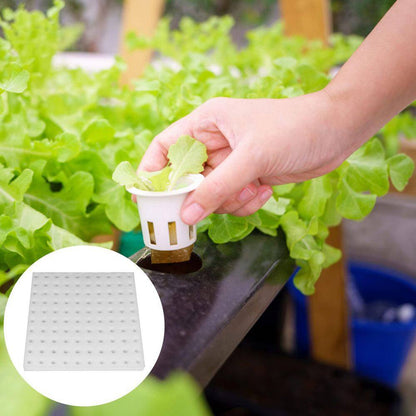 200-Piece Hydroponic Sponges Soilless Cultivation Sponge for Greenhouse, Indoor/Outdoor Planting with Net Cup Pots