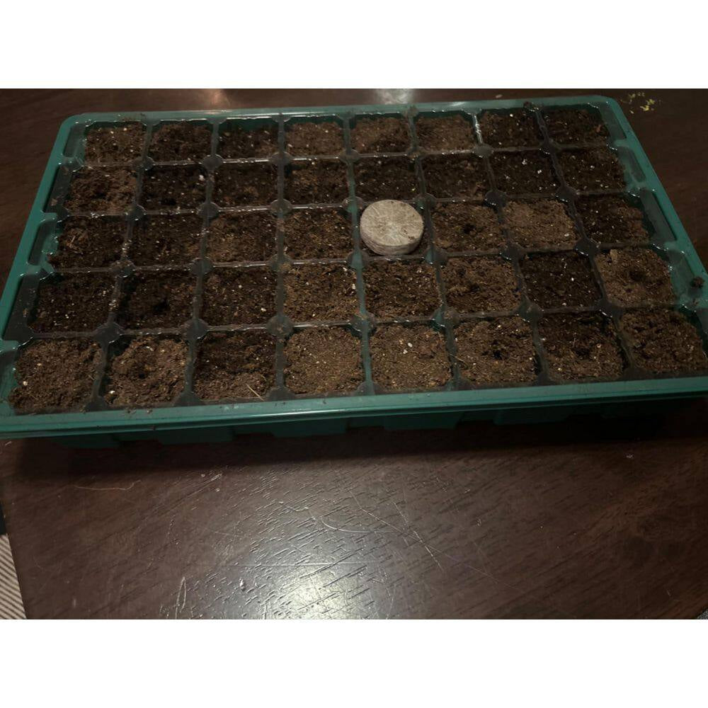 5-Pack 14 In. X 9.84 In. X 5.11 In. Outdoor Black Plastic Seed Starter Tray Kit with Humidity Vented Domes and Base
