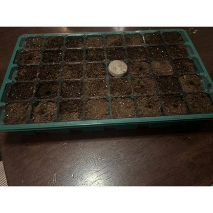 5-Pack 14 In. X 9.84 In. X 5.11 In. Outdoor Black Plastic Seed Starter Tray Kit with Humidity Vented Domes and Base