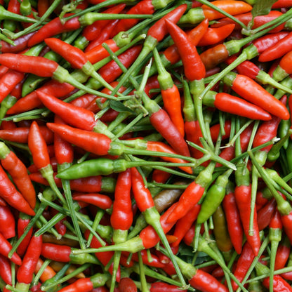 50+ Birdseye Pepper Seeds | Fresh Non-Gmo Garden Seeds