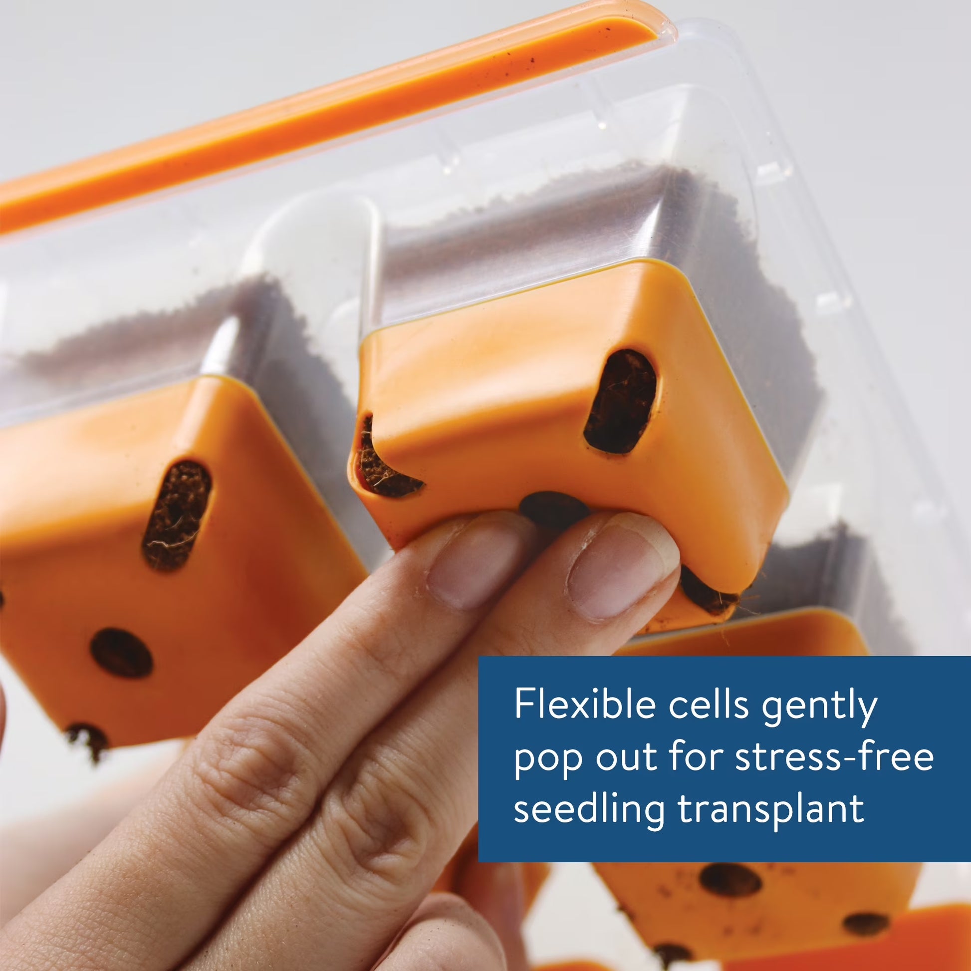 Superseed Windowsill Seed Starting Tray