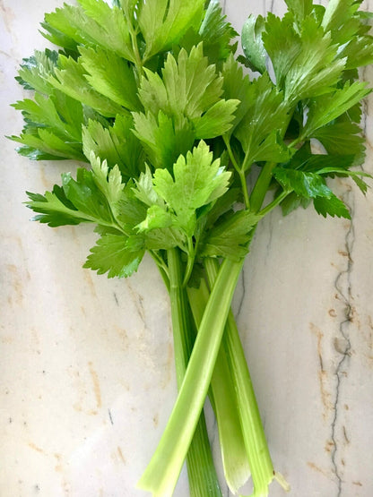 Tall Utah 52-70 Celery Seeds, NON-GMO, ORGANIC, HEIRLOOM - Free Shipping!