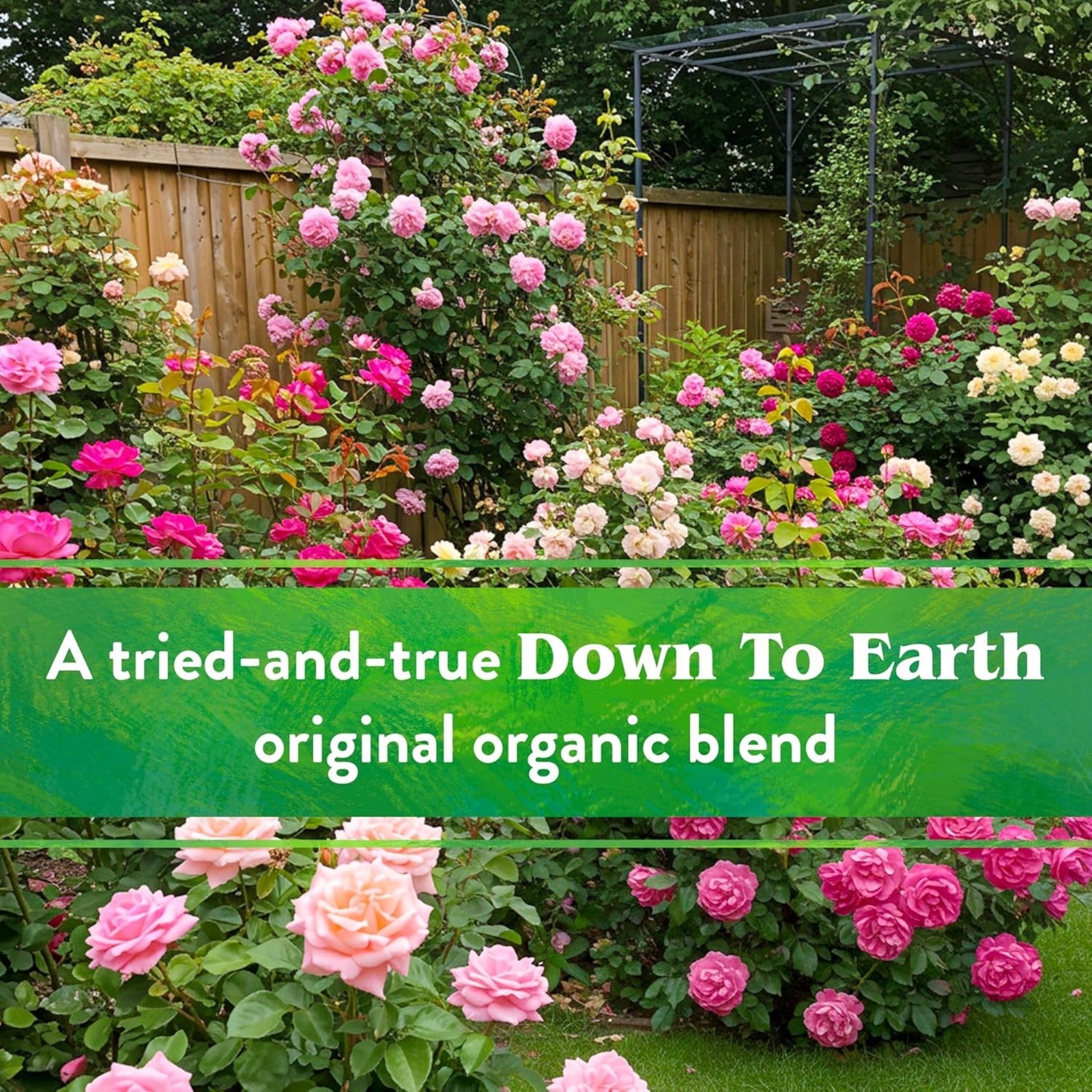 Down to Earth Organic Rose & Flower 4-8-4 All-Natural Fertilizer Mix, 15 Lbs