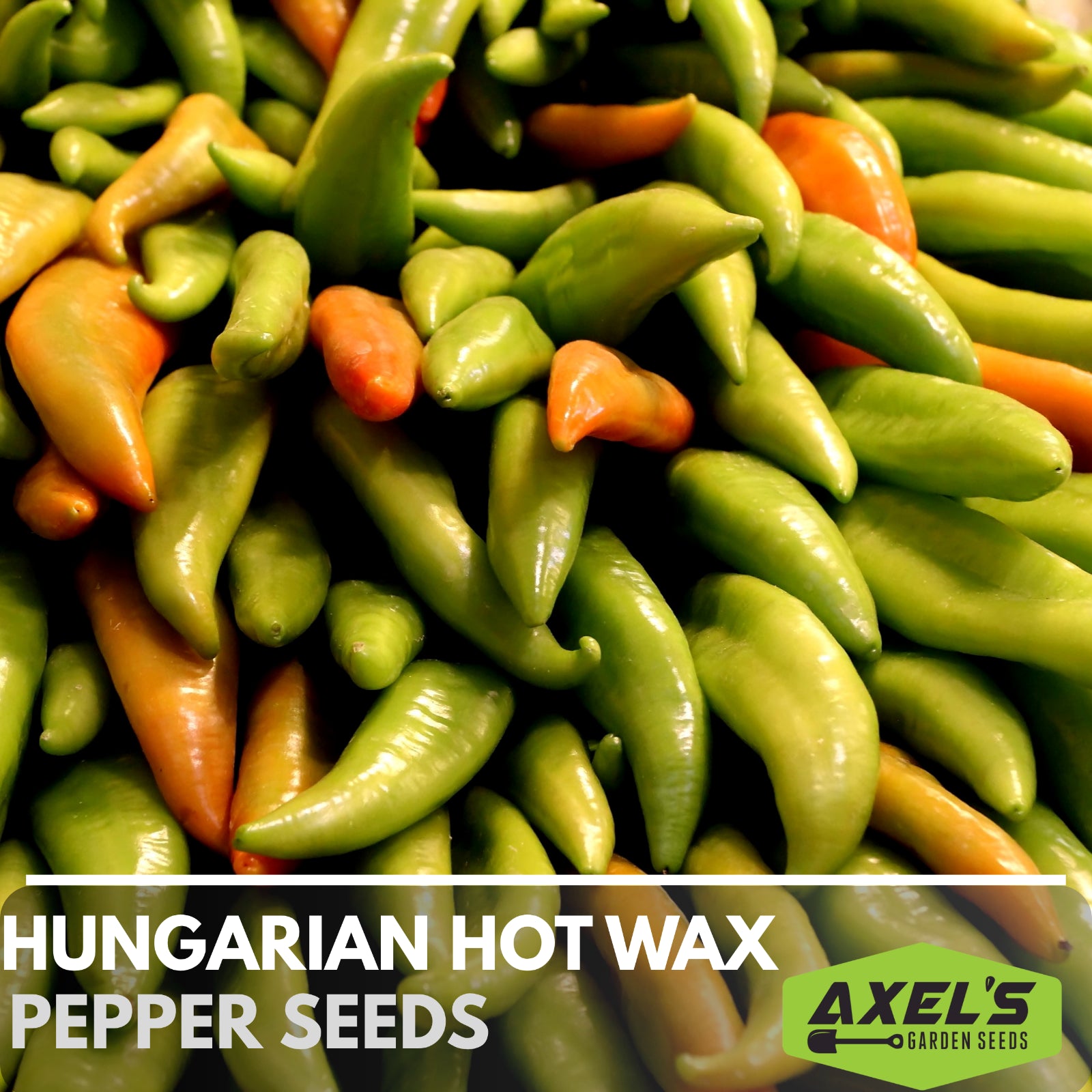 Hungarian Hot Wax Pepper Heirloom Non-Gmo Seeds