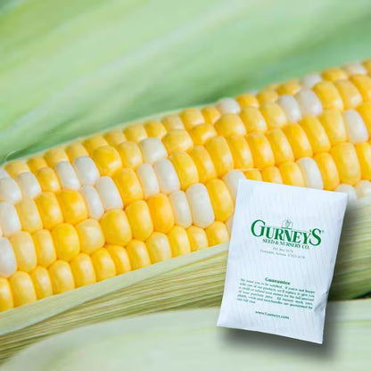 Sweet Corn Gotta Have It Hybrid (2 Lb. Seed Packet)