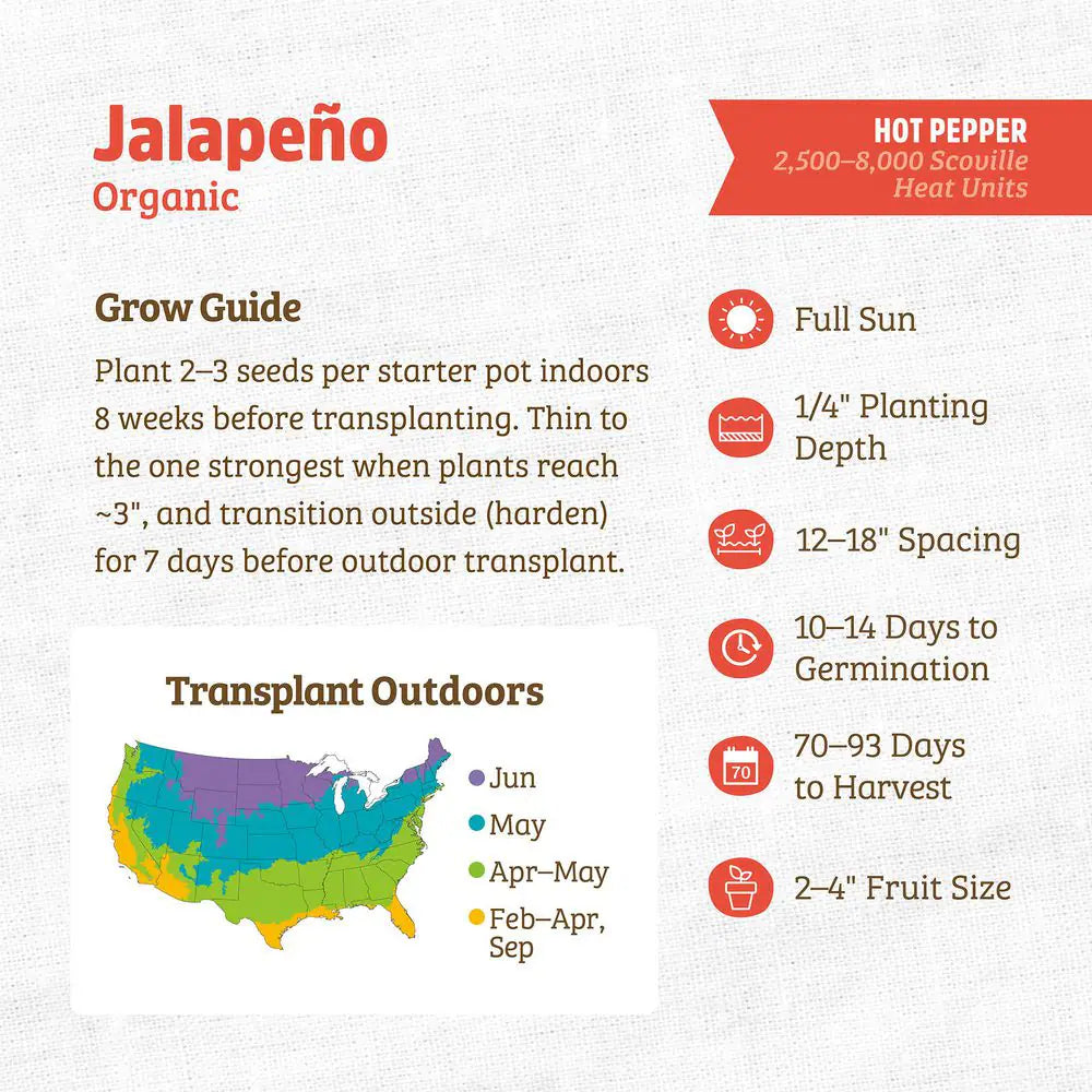 Organic Jalapeno Pepper Seed (1-Pack)
