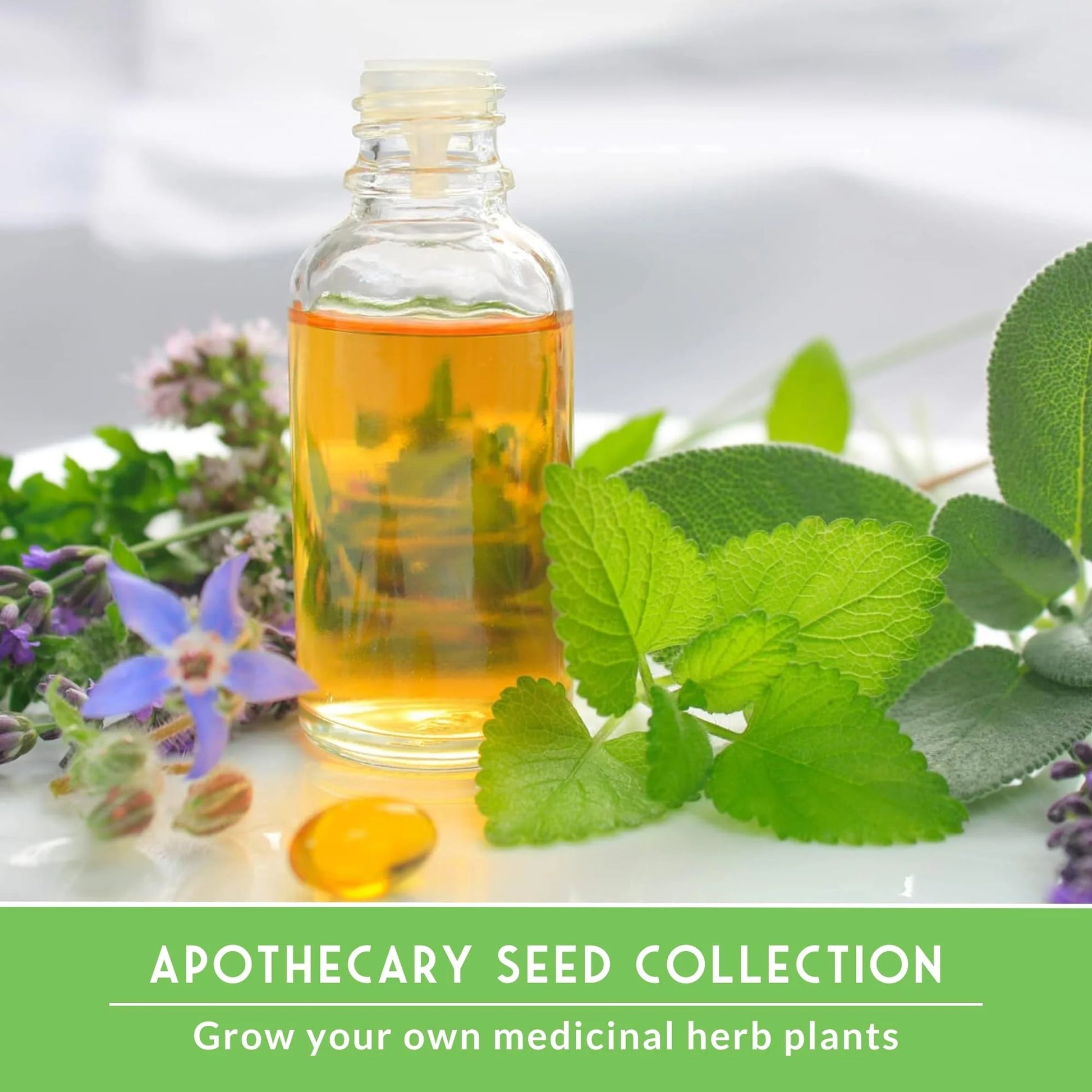 18 Pack Medicinal Herb Seed Collection - Non-Gmo Heirloom Full Sun Perennial & Annual