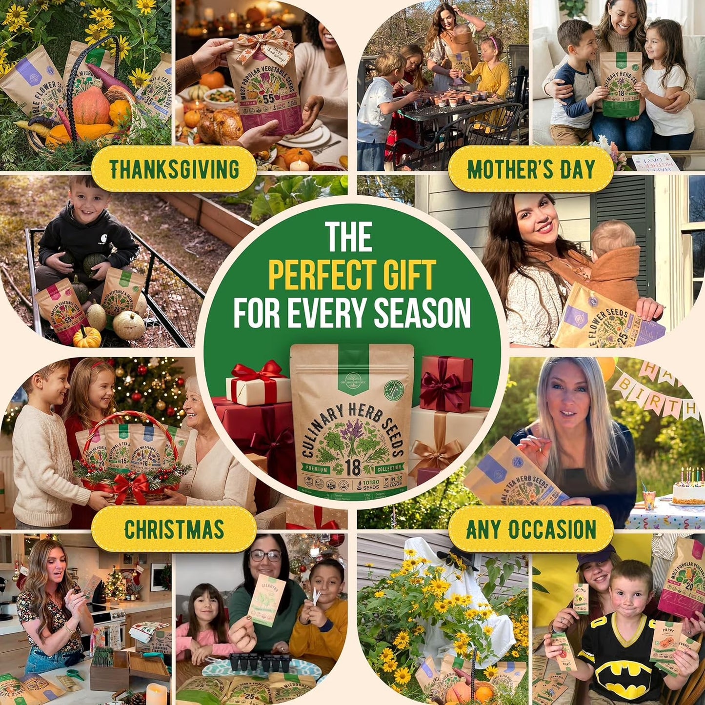 18 Culinary Herbs Seeds Variety Pack - 10,180+ Heirloom, Non-Gmo, Herbs Seeds