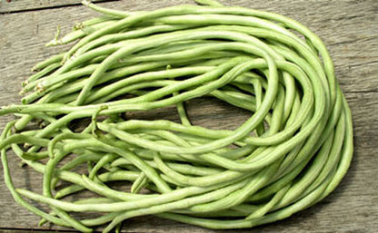 20+Yard Long Bean Seeds Asian Chinese Long Bean String Beans Productive USA
