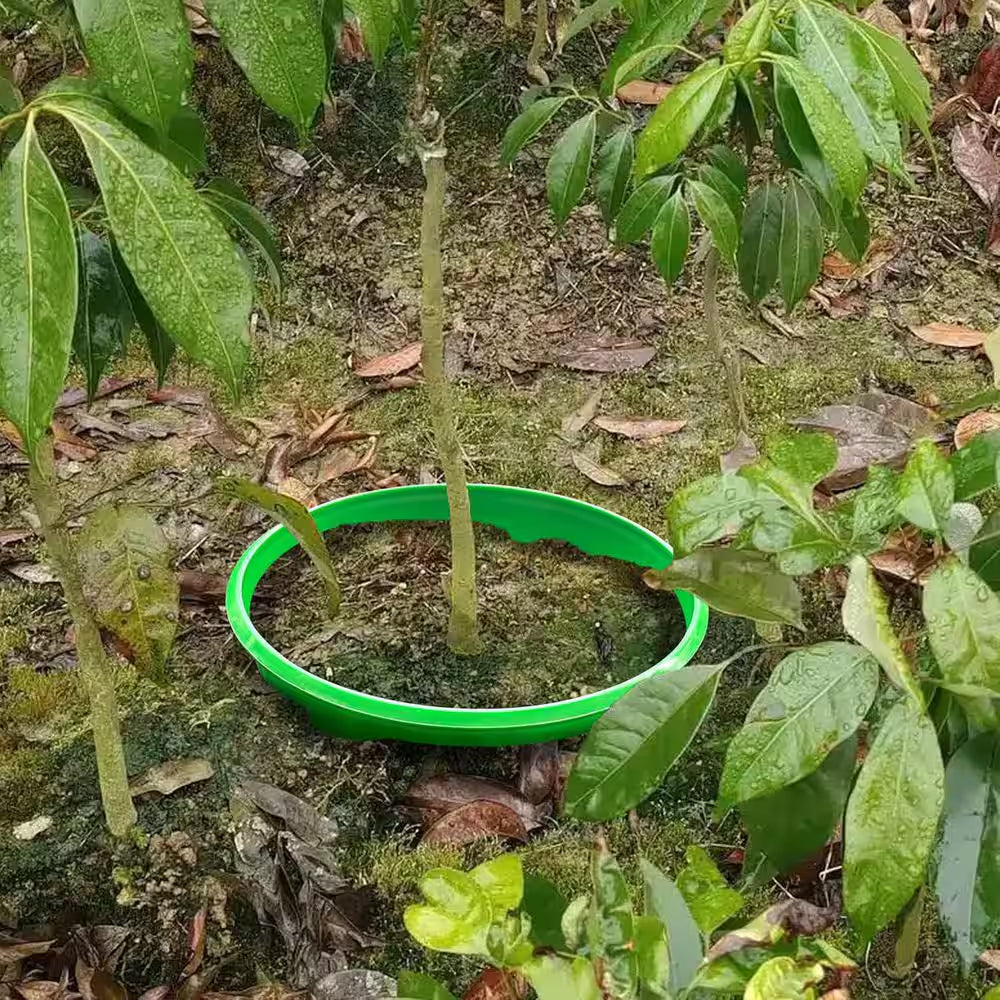6-Piece 10 In. Planting Grow Rings for Garden Protection and Watering