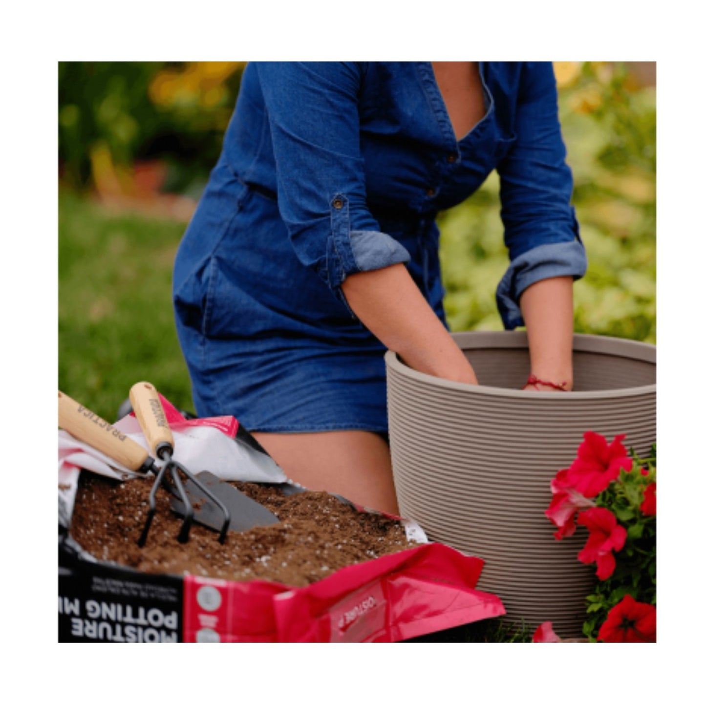 Premier Horticulture PRO-MIX Premium Moisture Potting Mix, 8 Quarts