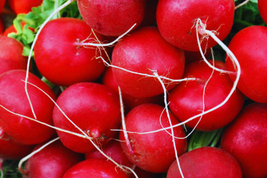 Radish Seeds | Non-GMO Vegetable Garden Seeds | Fast-Growing, Crisp Varieties | Raphanus sativus