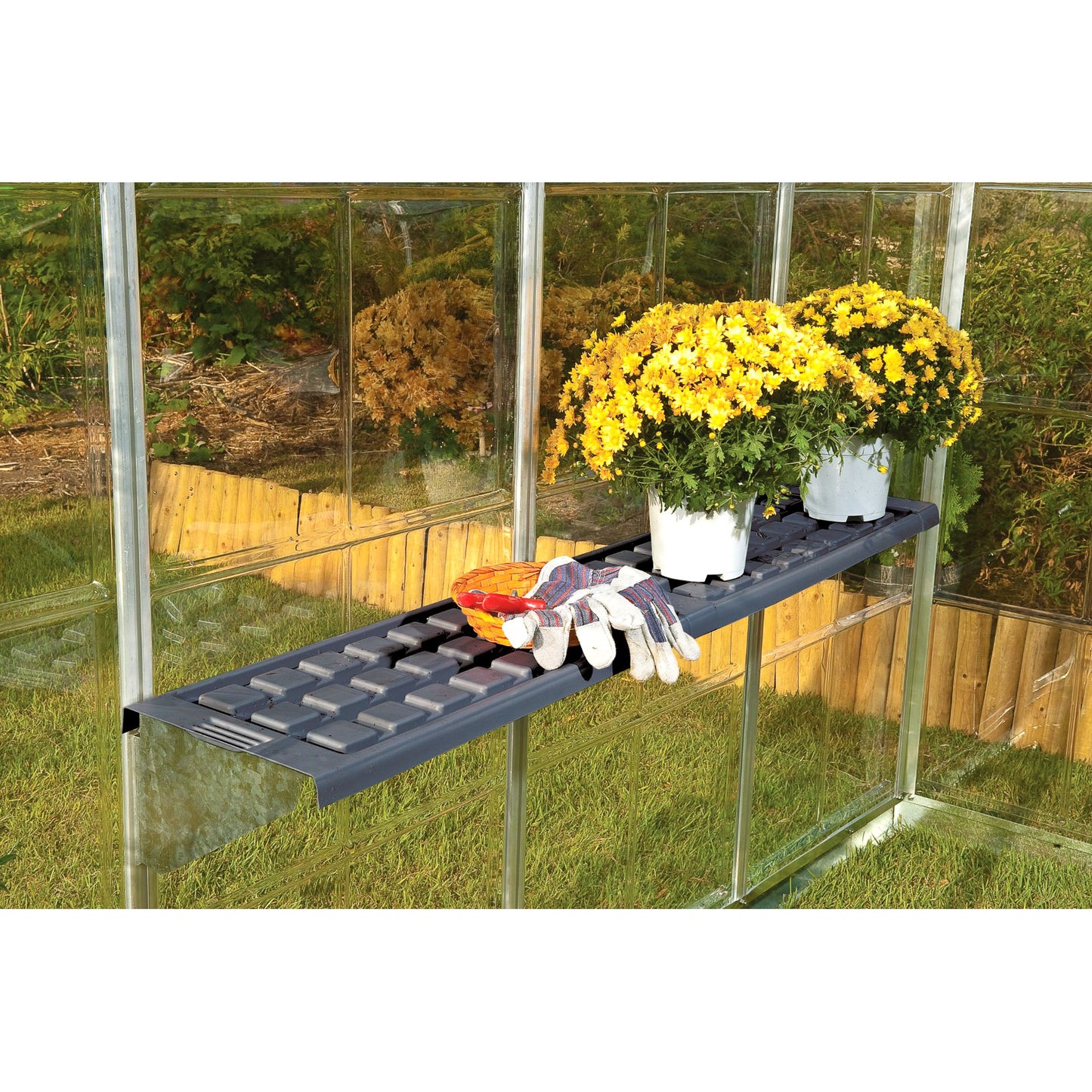 Palram Canopia Americana 12 Ft. X 12 Ft. Greenhouse Kit with Premium Accessory Pack