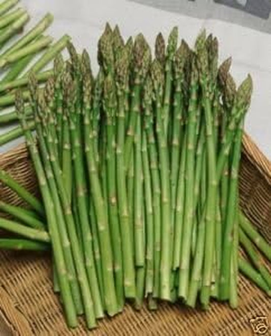 Asparagus Mary Washington Great Heirloom Vegetable by  50 Seeds