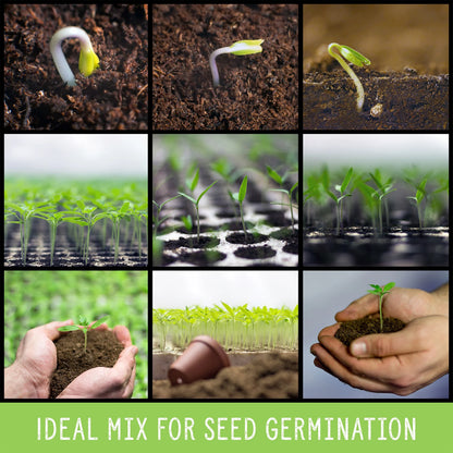 All Natural Seed Starting Mix (8 Quarts), Expert Grade Seed Starter Potting Mix, Start Herbs, Vegetables, and Other Grass