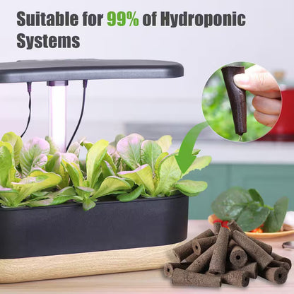 80 Sponges 20 Baskets 1 Tweezer Hydroponic Grow Kit with Seed Pods for Indoor Outdoor Garden Planting System (101-Pack)