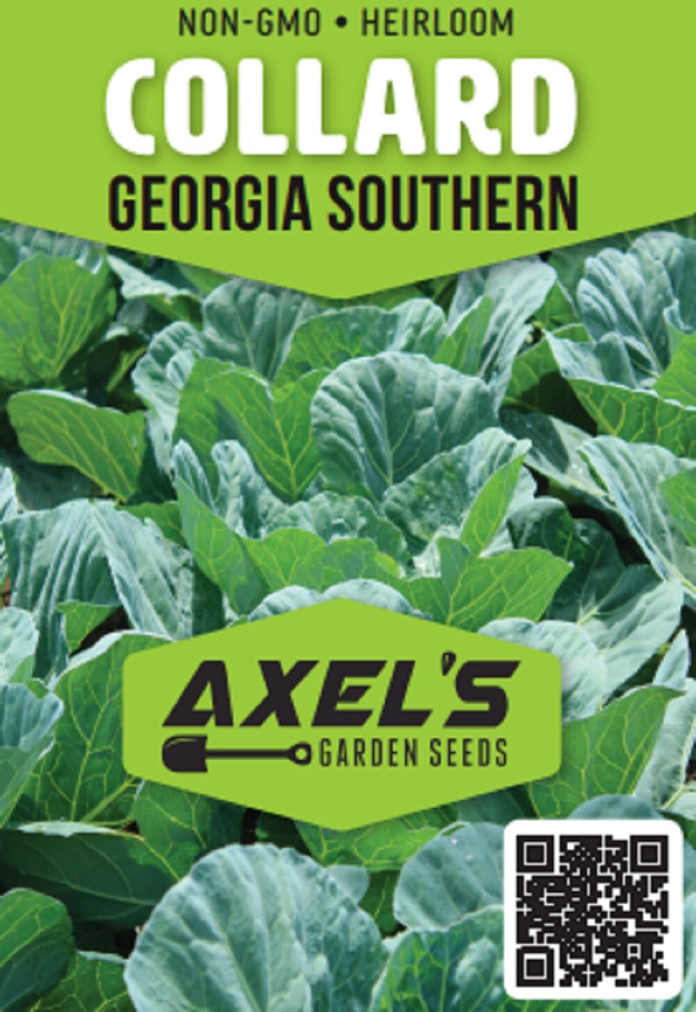 Georgia Southern Collard Heirloom Non GMO Seeds