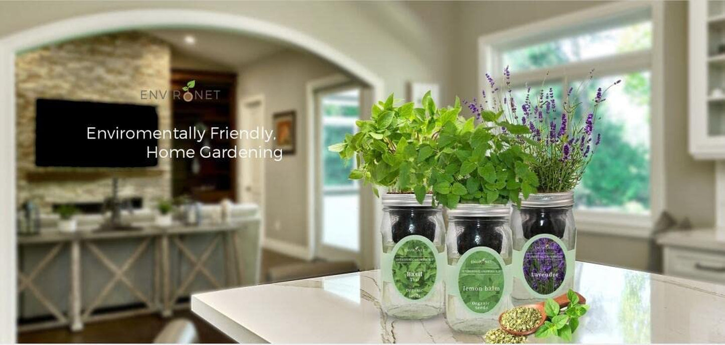 Hydroponic Herb Growing Kit, Self-Watering Mason Jar Herb Garden Starter Kit Indoor, Windowsill Herbs Garden, New Christmas Grden Gift for Mom (Tarragon)