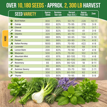 18 Culinary Herbs Seeds Variety Pack - 10,180+ Heirloom, Non-Gmo, Herbs Seeds