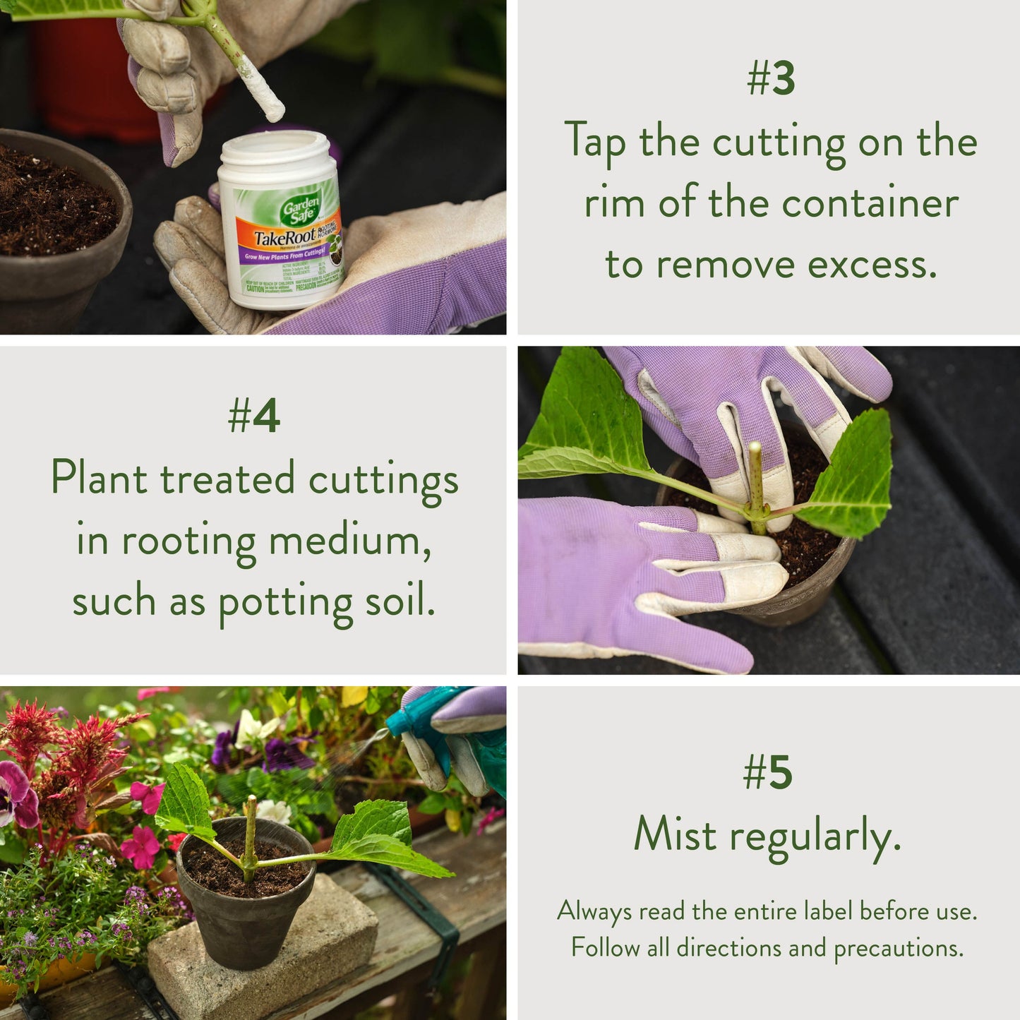 Take Root Rooting Hormone Powder, Grow New Plants from Cuttings, 2 Ounces