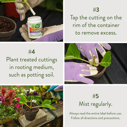 Take Root Rooting Hormone Powder, Grow New Plants from Cuttings, 2 Ounces