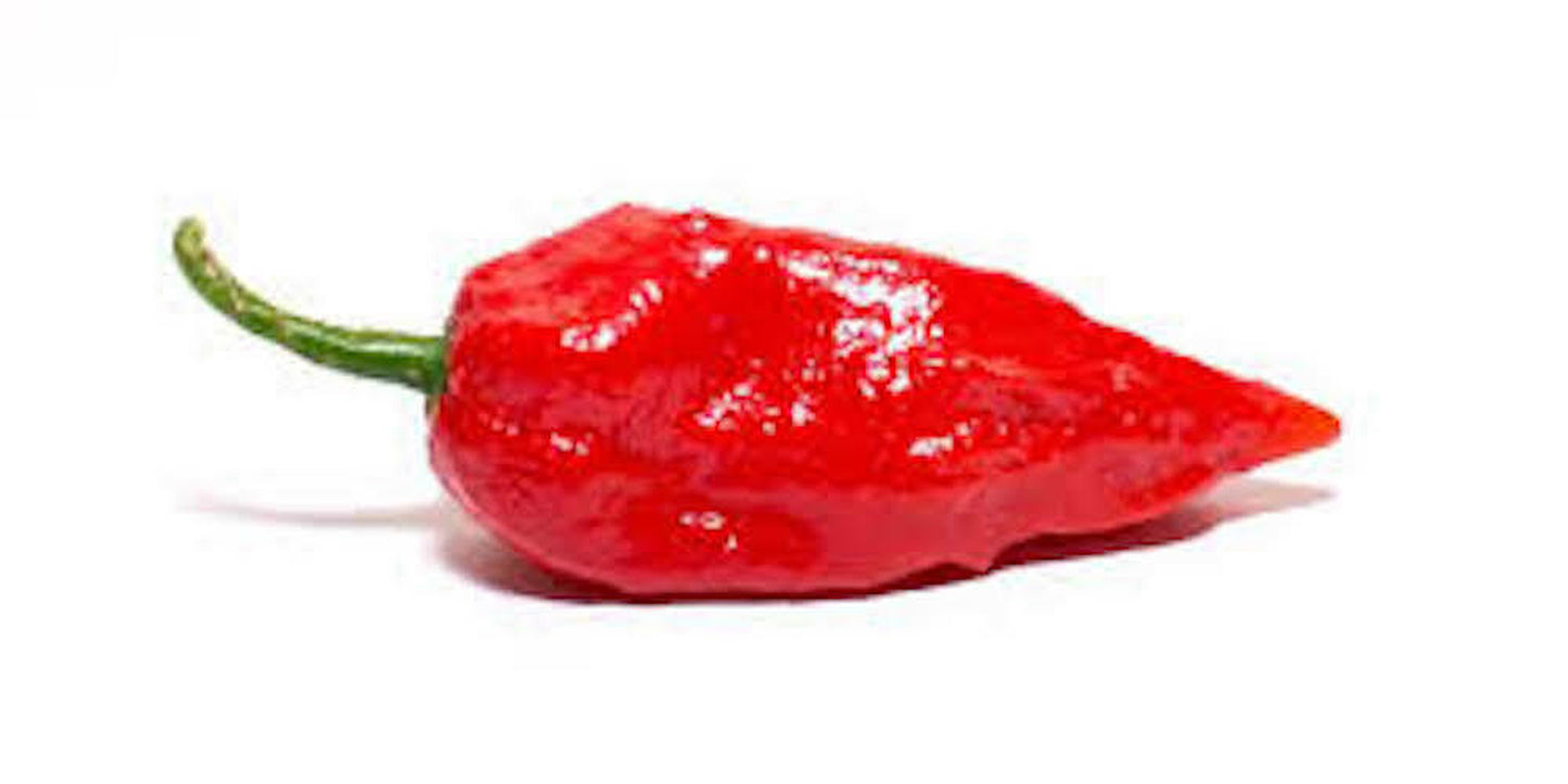 25 Fresh Super-Hot Ghost Bhut Jolokia Red Pepper Seeds Non - GMO NEW Season