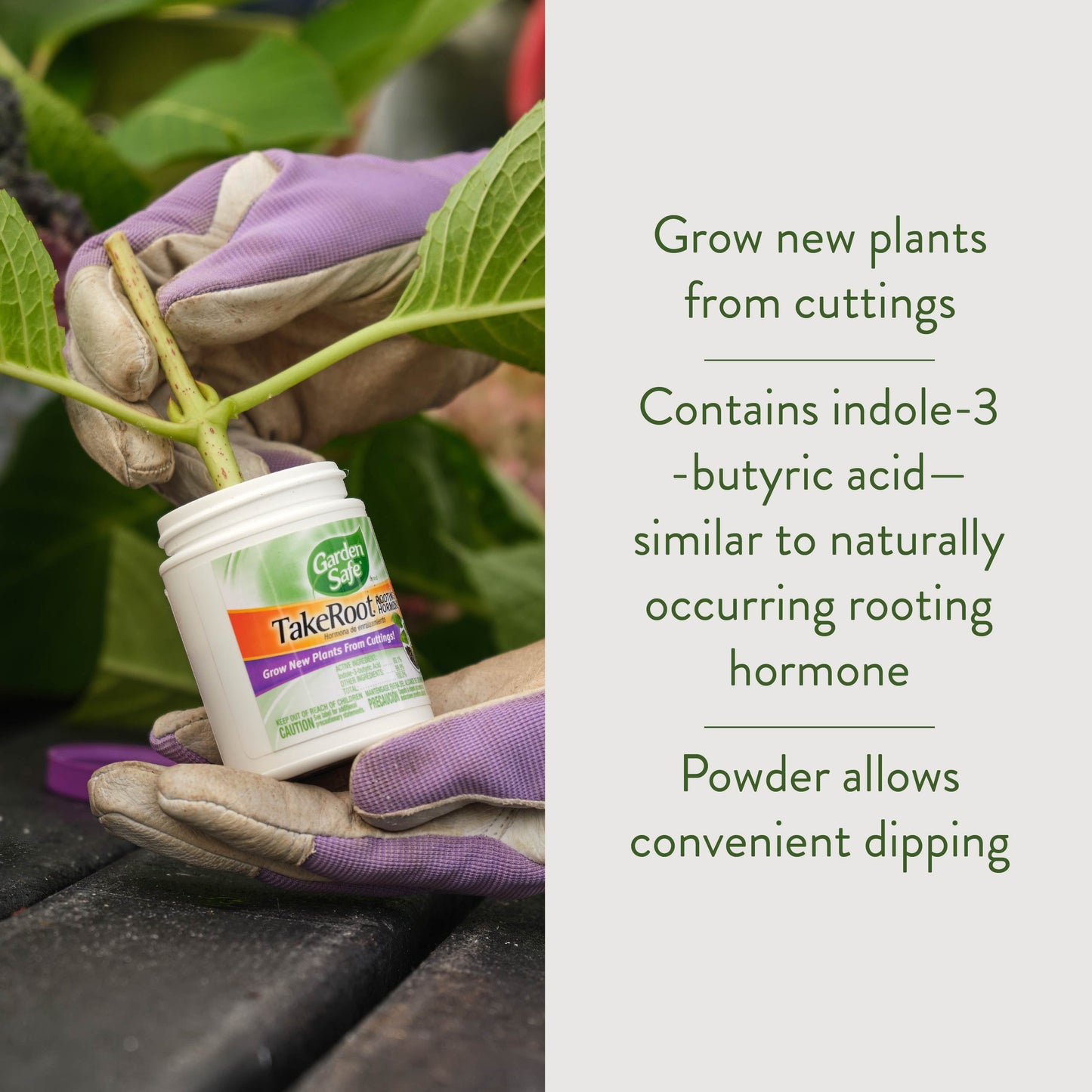 Take Root Rooting Hormone Powder, Grow New Plants from Cuttings, 2 Ounces