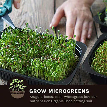 1.75 Cu. Ft. Brown Fluffed Coco Potting Soil Mix