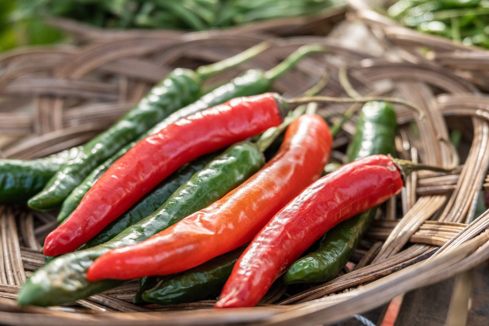 25 Organic KOREAN Dark GREEN PEPPER Lady Han Hot Chili Long Red Capsicum Seeds