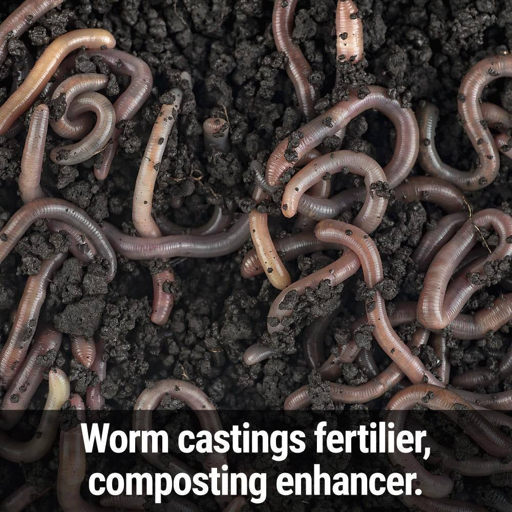 25 Lbs. 2,500 Sq. Ft. Worm Magic Worm Castings Organic Soil Amendment 25 Pound Granular