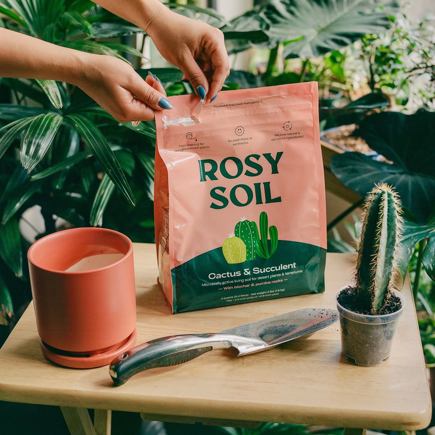 Cactus & Succulent Soil – 4 Quart 3-Pack