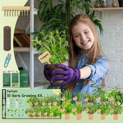 10 Herb Window Garden Kit Indoor - Seeds for & 10 Herb Kit