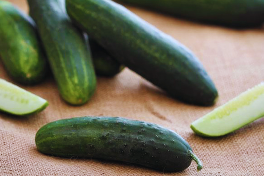 Cucumber Seeds - Non-GMO Heirloom Variety - Ashley Garden Seeds - Cucumis sativus