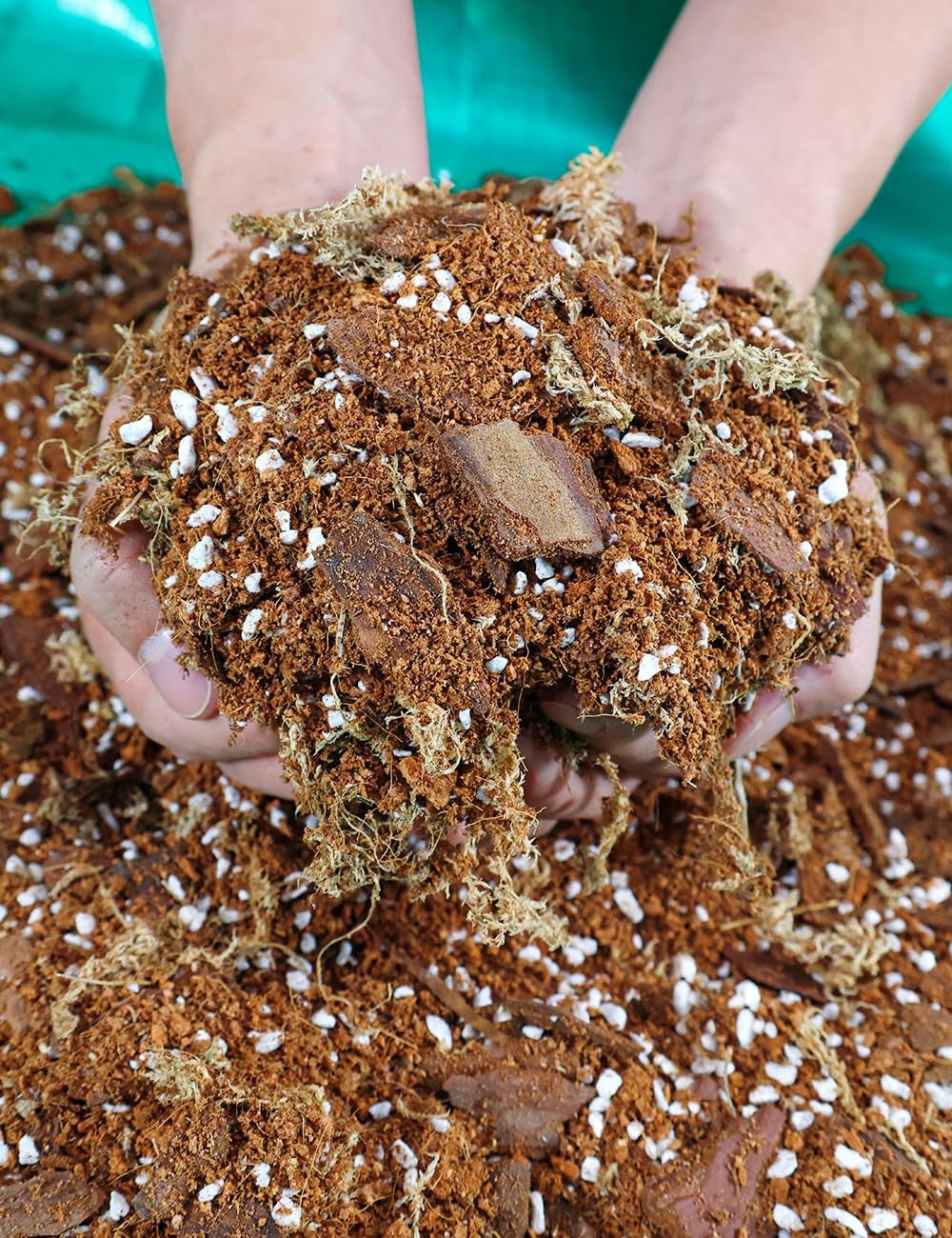Orchid Potting Mix with Bark, Perlite, Coco Peat for Indoor Repotting