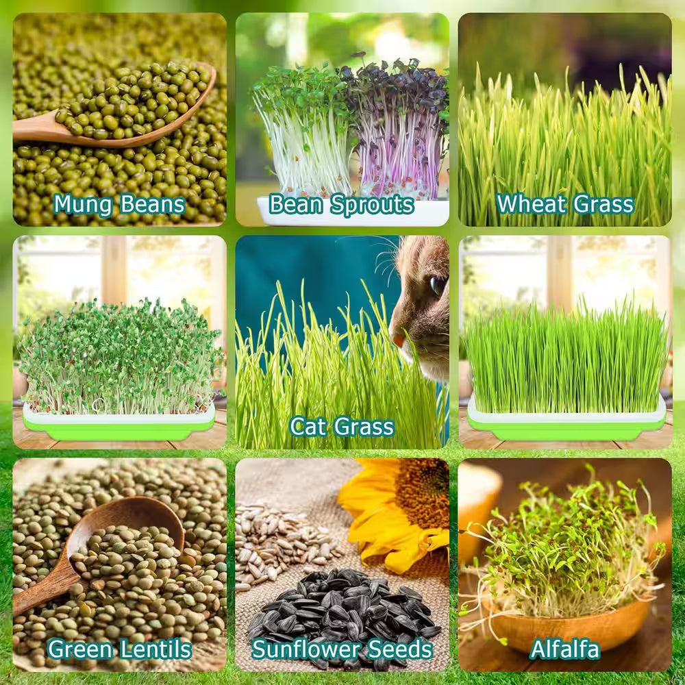 10 Pack Green Seed Sprouter Trays Soil-Free Germination Nursery Tray with Planting Paper for Indoor Outdoor Use