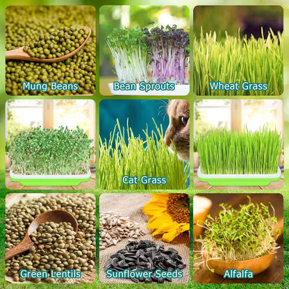 10 Pack Green Seed Sprouter Trays Soil-Free Germination Nursery Tray with Planting Paper for Indoor Outdoor Use