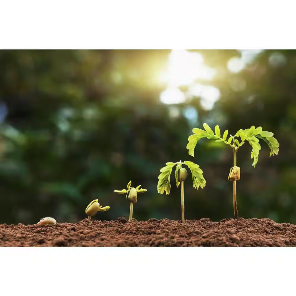 1 Cu. Ft. / 22 Lb. 100% Organic Worm Castings Soil