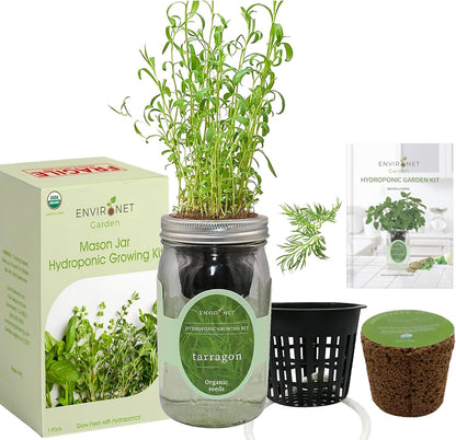 Hydroponic Herb Growing Kit, Self-Watering Mason Jar Herb Garden Starter Kit Indoor, Windowsill Herbs Garden, New Christmas Grden Gift for Mom (Tarragon)